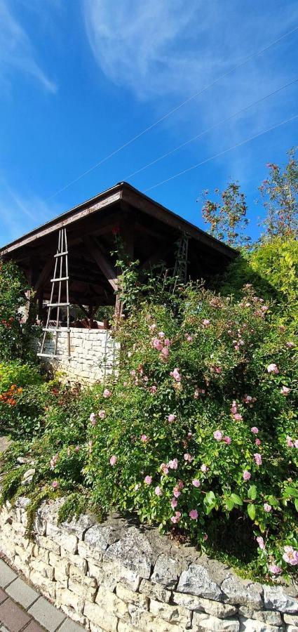 Skalny Widok Villa Hucisko  Exteriör bild